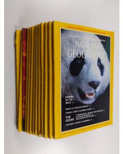 käytetty kirja National Geographic vuosikerta 1981 (1-12 + Special edition)