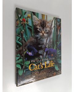 Kirjailijan Warren Eckstein käytetty kirja The Illustrated Cat's Life