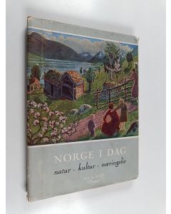 käytetty kirja Norge i dag